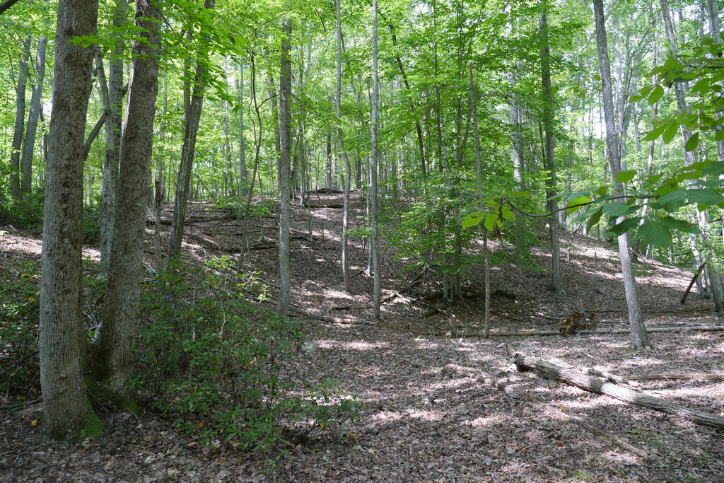 0 Wesley Drive Property Photo 34