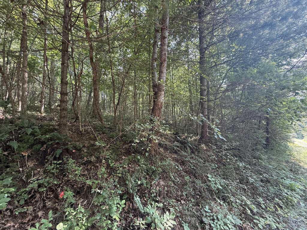 Tbd Lampkins Property Photo 1