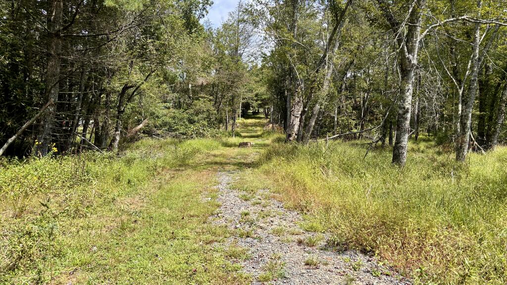 3471 Chantilly Dr Property Photo 26