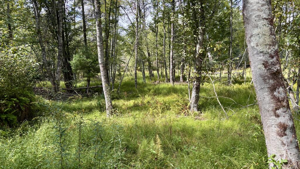 3471 Chantilly Dr Property Photo 28