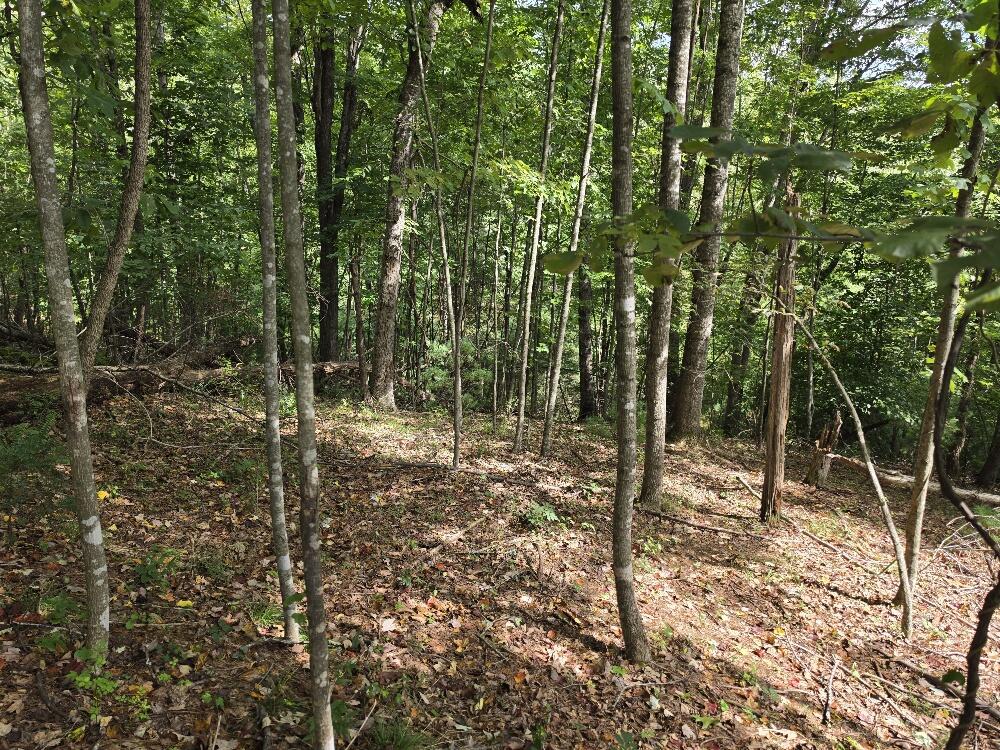 Tbd Crackers Neck Rd Property Photo 1