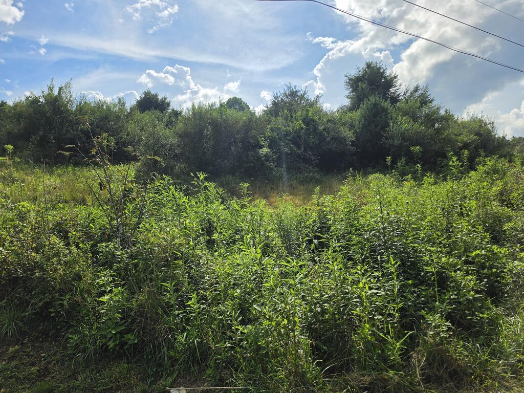 Lot #28 River Bottom Ln Property Photo 1