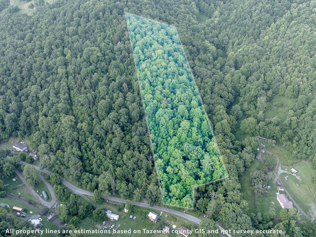 Tbd Dry Fork Road Property Photo 1