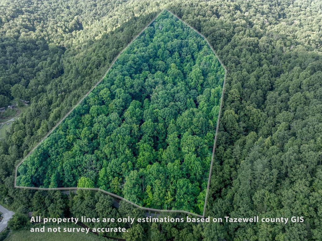 Tbd Dryfork Road Property Photo 1
