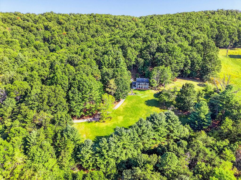 403 Wright Mountain Dr. Property Photo 53