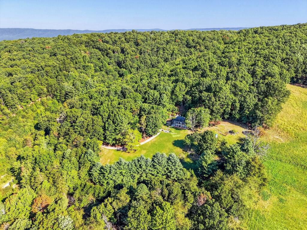 403 Wright Mountain Dr. Property Photo 54