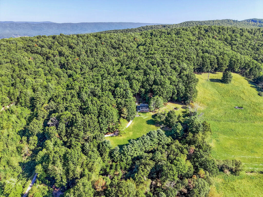 403 Wright Mountain Dr. Property Photo 55