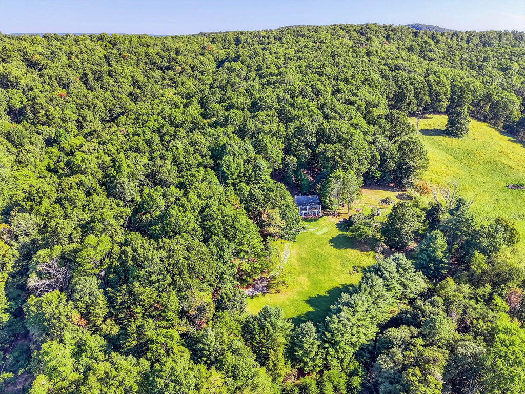 403 Wright Mountain Dr. Property Photo 56