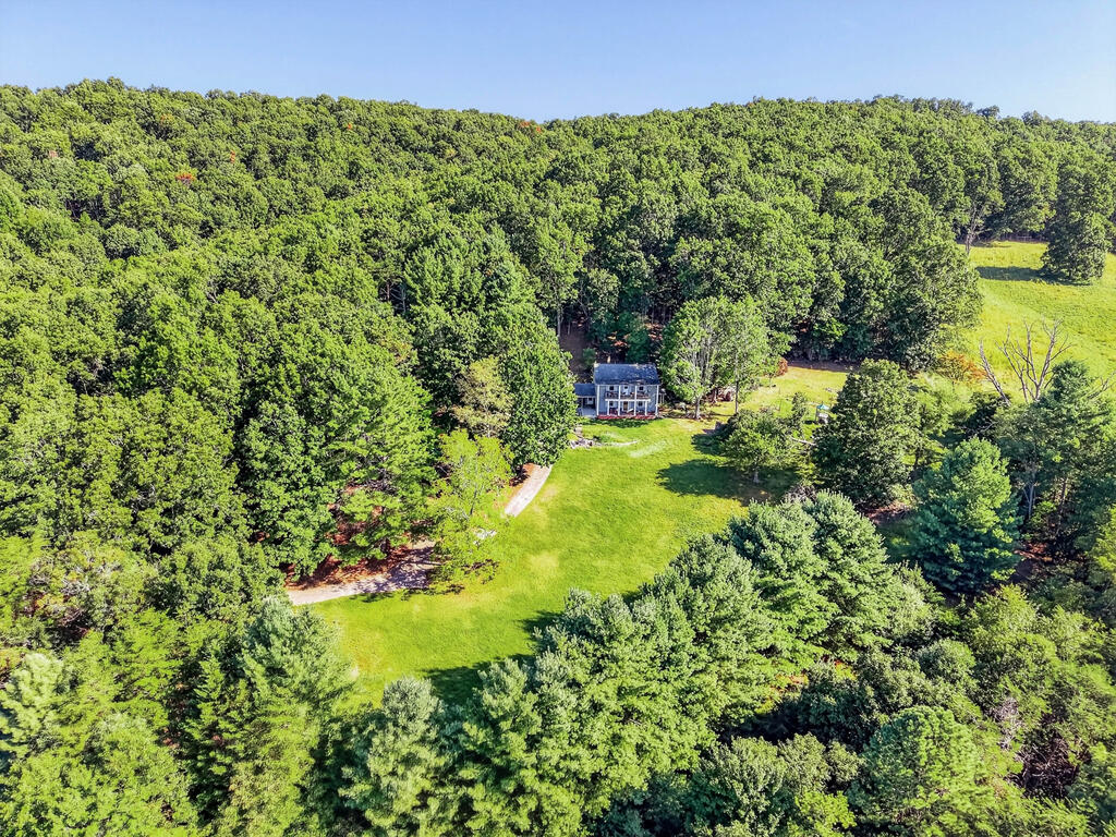 403 Wright Mountain Dr. Property Photo 58