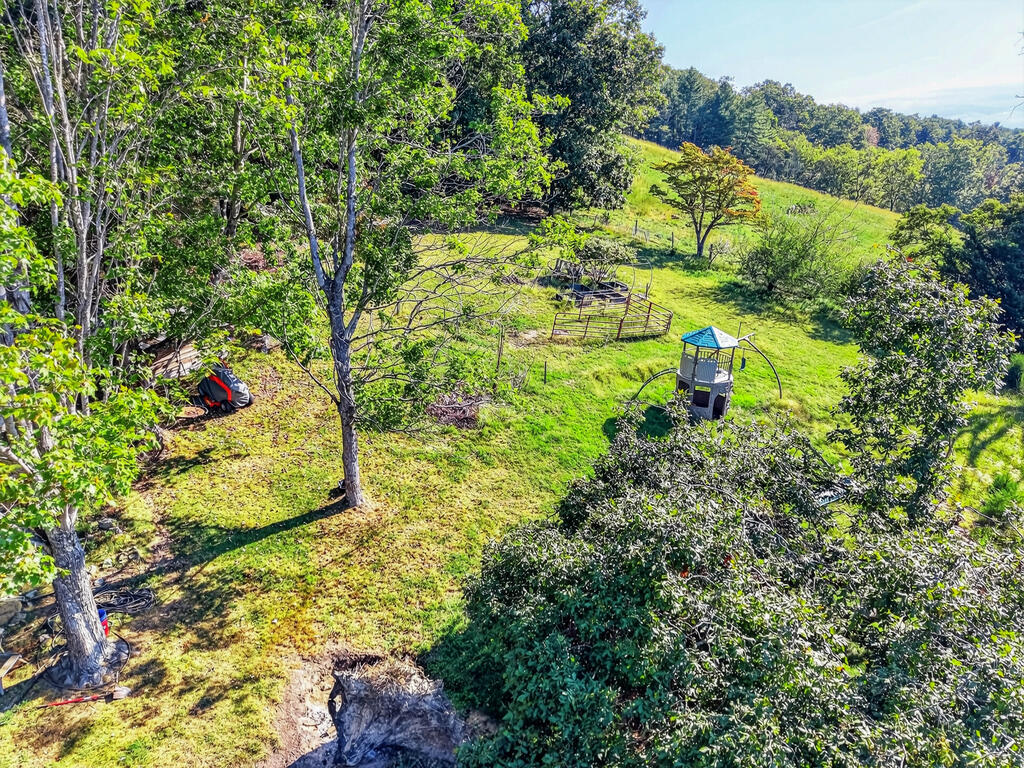 403 Wright Mountain Dr. Property Photo 61