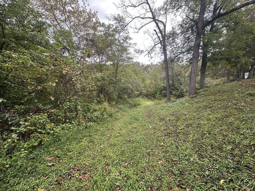1662 Lewis Creek Rd Property Photo 1