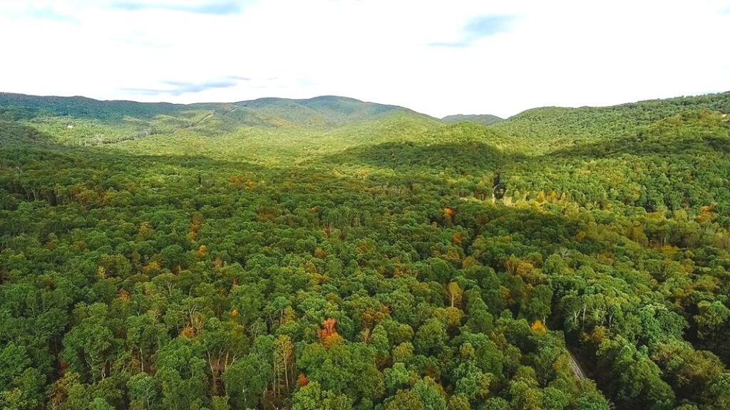 Lot 88 Nye Valley Rd Property Photo 1