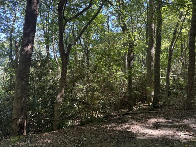 Tbd Crooked White Oak Trail Property Photo 1