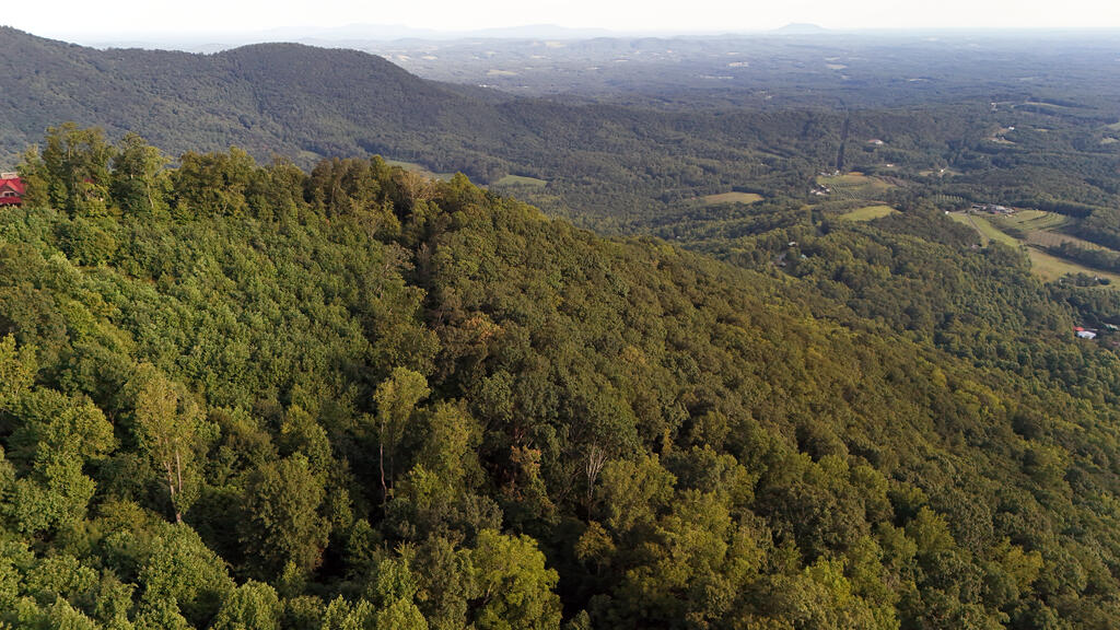 Tbd Willis Gap Rd Property Photo 1