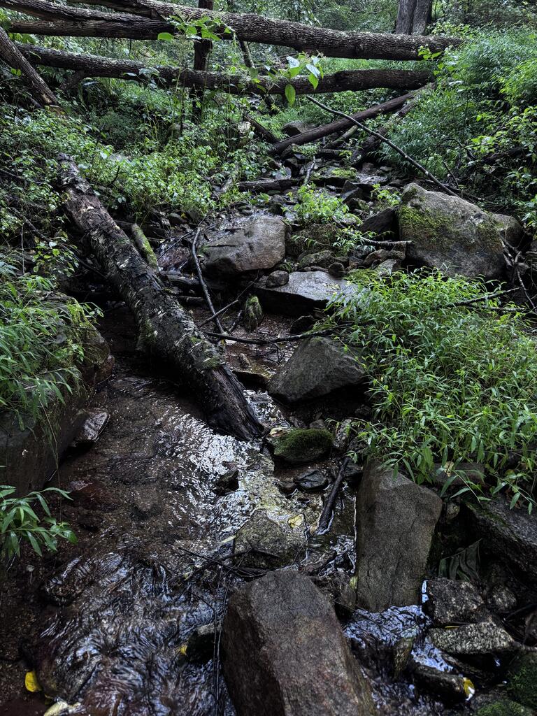 Tbd Point Lookout Ln Property Photo 3