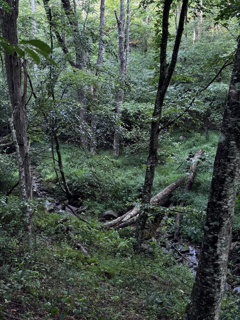 Tbd Point Lookout Ln Property Photo 6