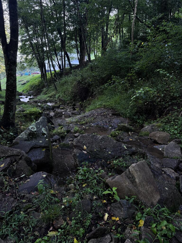 Tbd Point Lookout Ln Property Photo 8