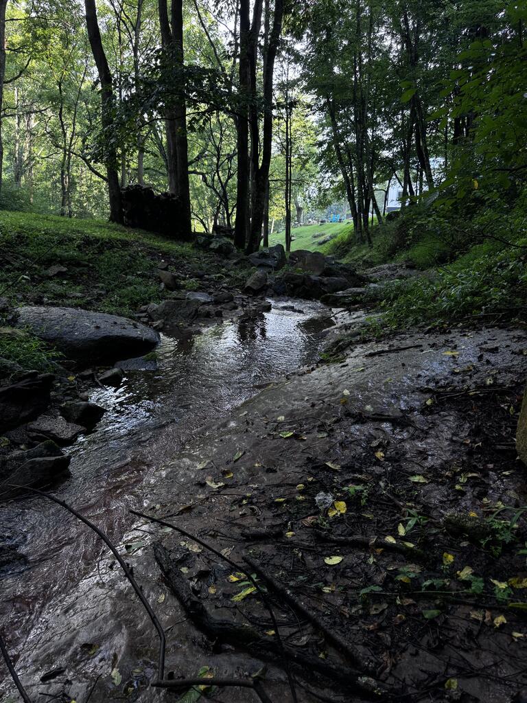 Tbd Point Lookout Ln Property Photo 9