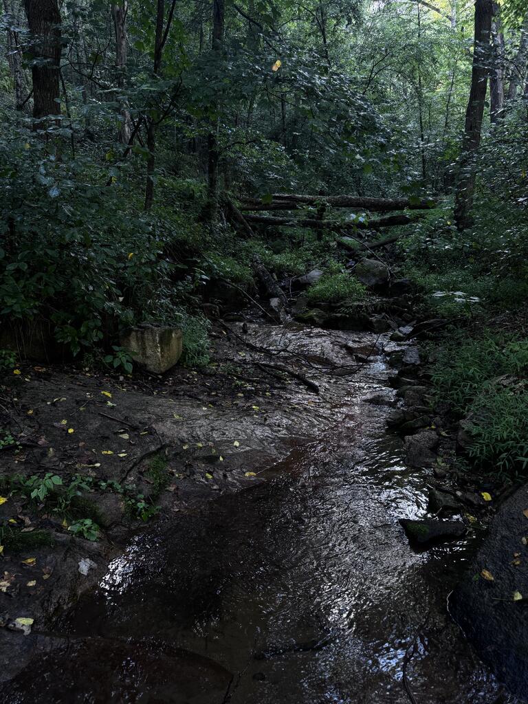 Tbd Point Lookout Ln Property Photo 13