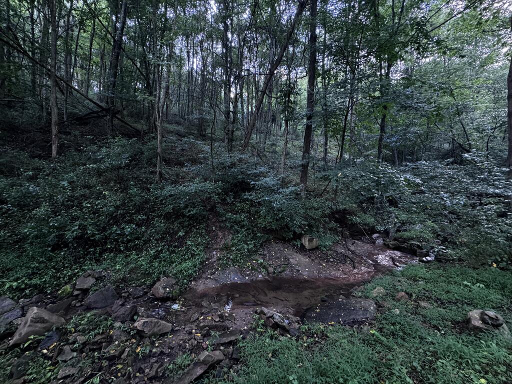Tbd Point Lookout Ln Property Photo 14