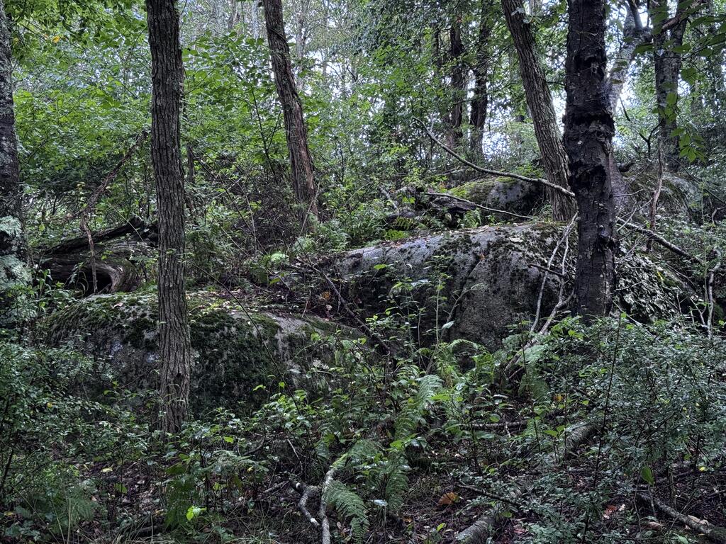 Tbd Point Lookout Ln Property Photo 16