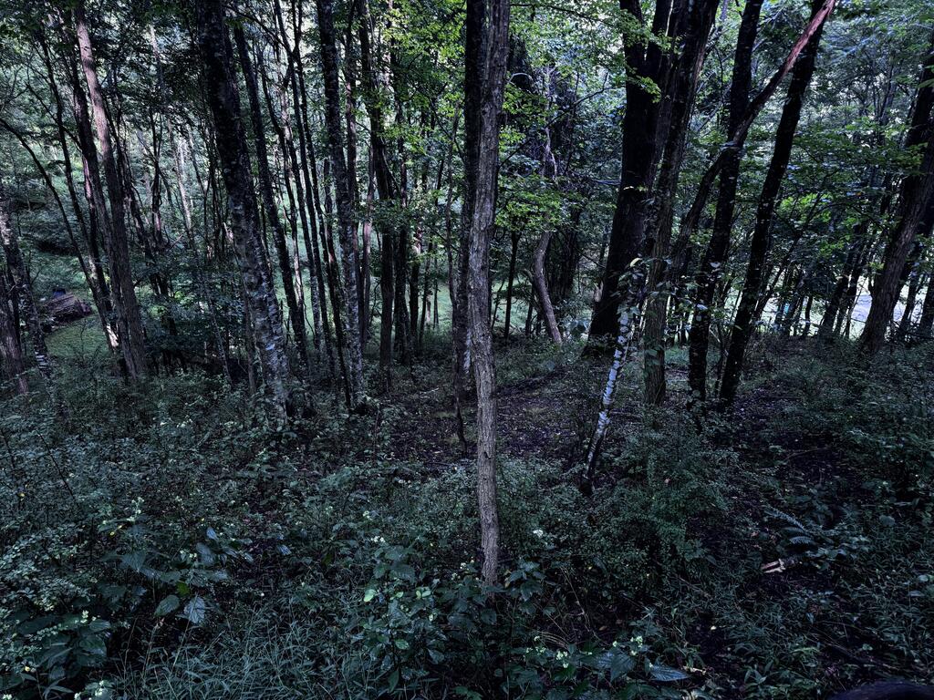 Tbd Point Lookout Ln Property Photo 22