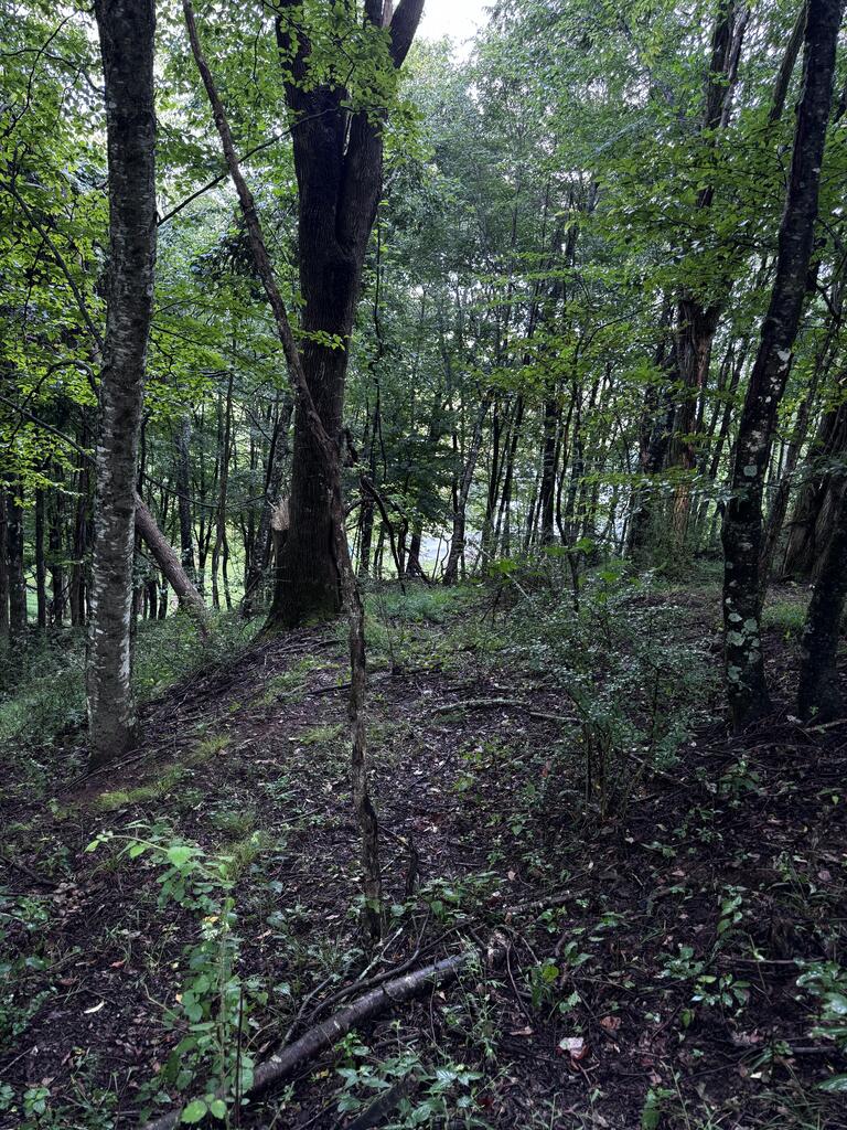 Tbd Point Lookout Ln Property Photo 23