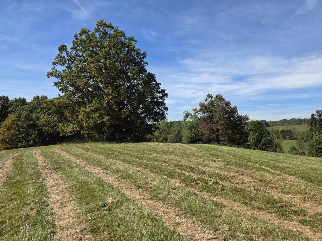 Tbd Ridge Rd Property Photo 1
