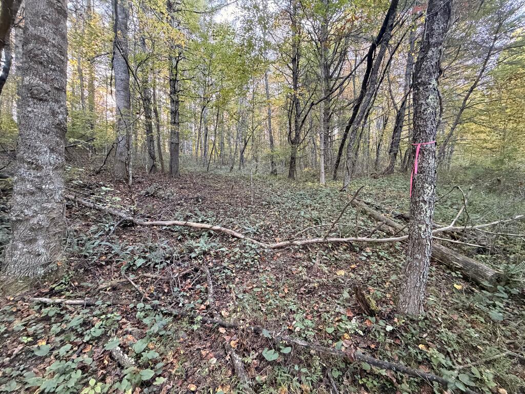 Tbd Wild Cherry Ln Property Photo 1