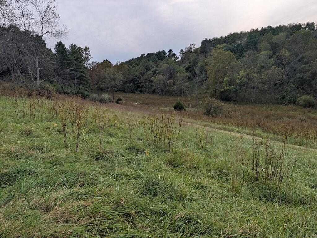 112259 Property Photo 10