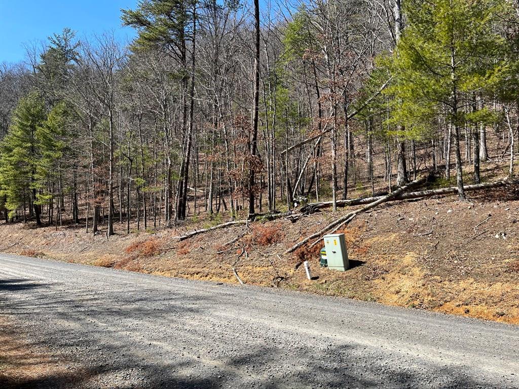 Tbd New River Oaks Dt Property Photo 1