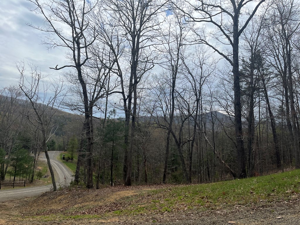 Tbd New River Oaks Property Photo 8