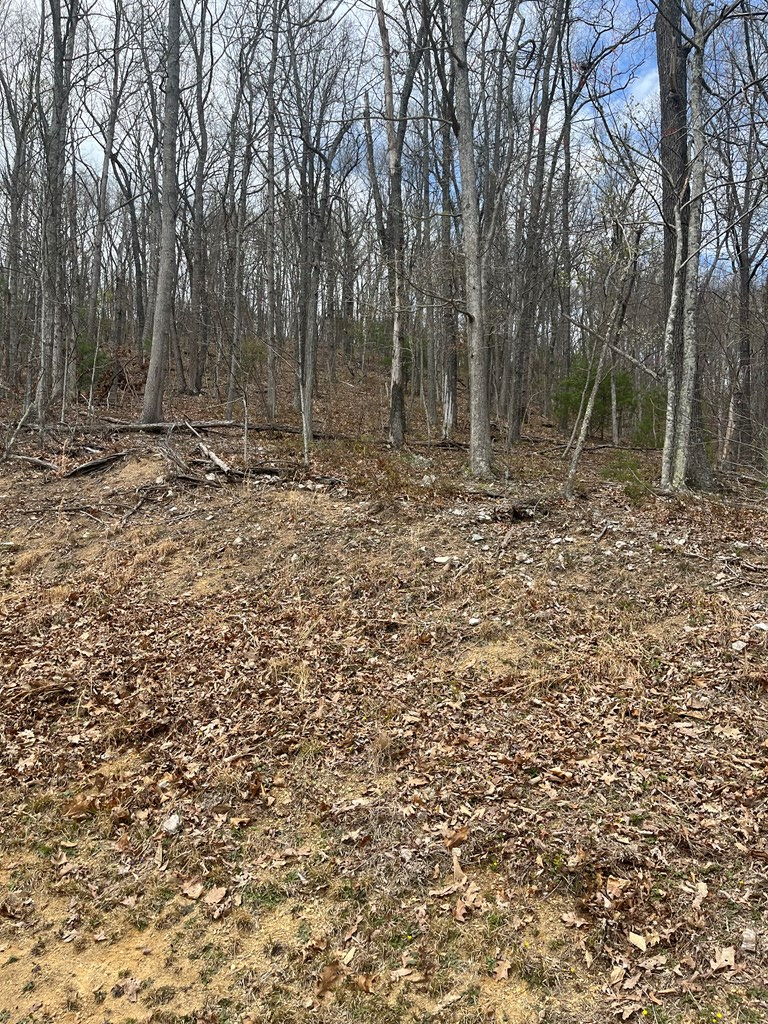 Tbd New River Oaks Property Photo 9