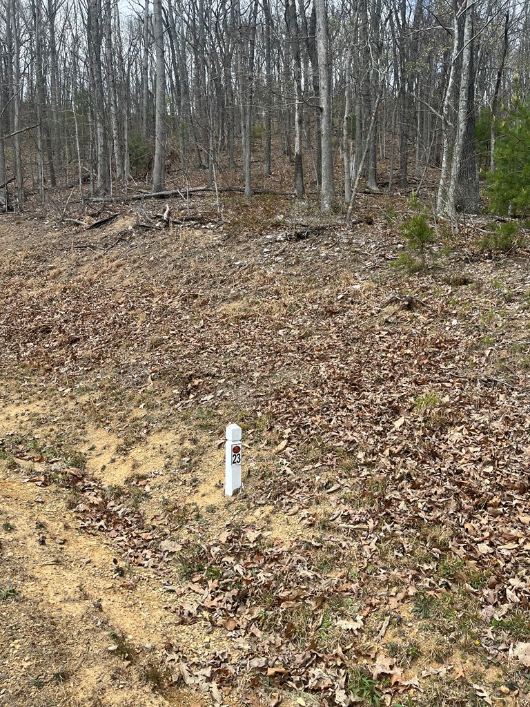 Tbd New River Oaks Property Photo 10