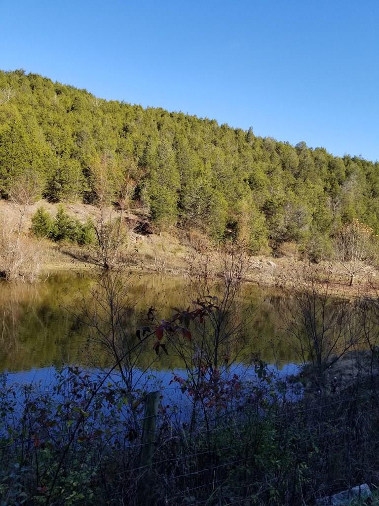 157 Tbd Steelesburg Highway Property Photo