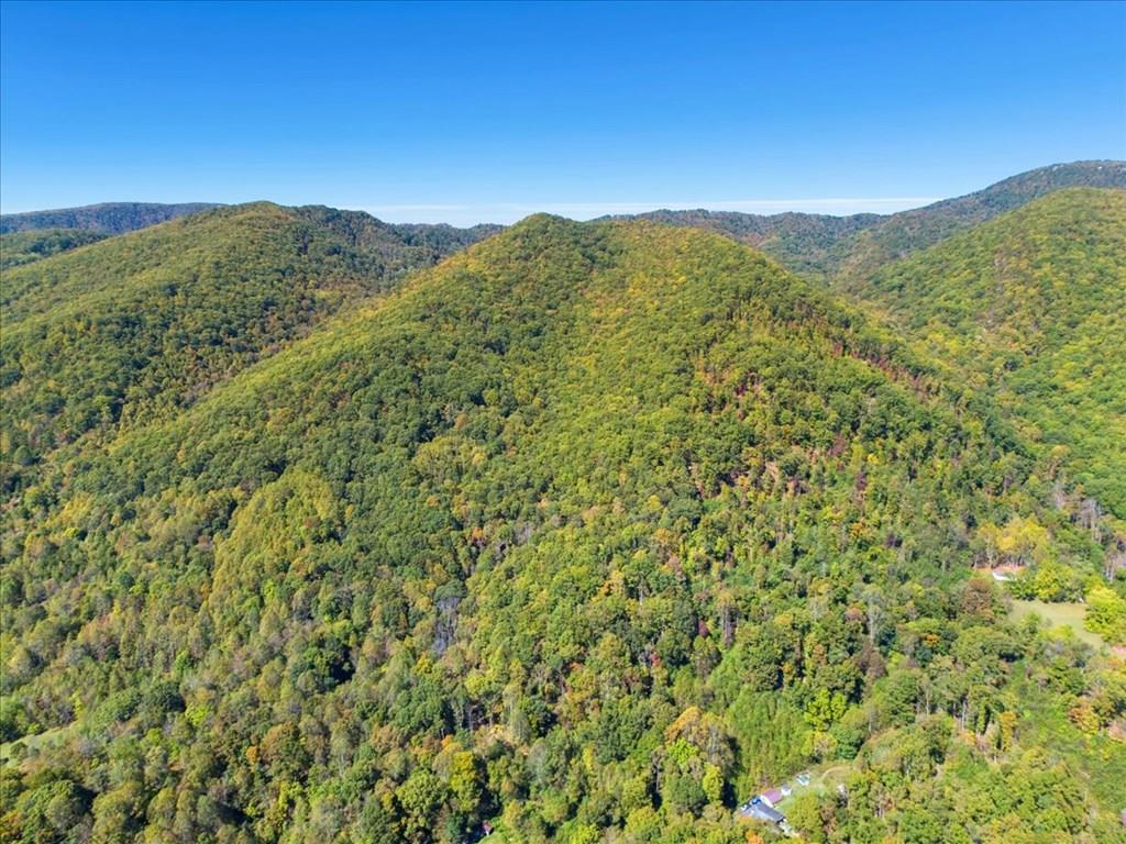 Tbd Allison Gap Road Property Photo 1