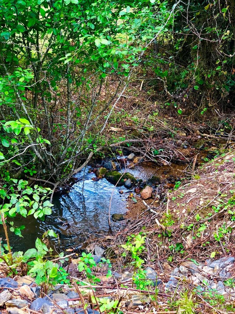 Tbd Smith Landing Ln Property Photo