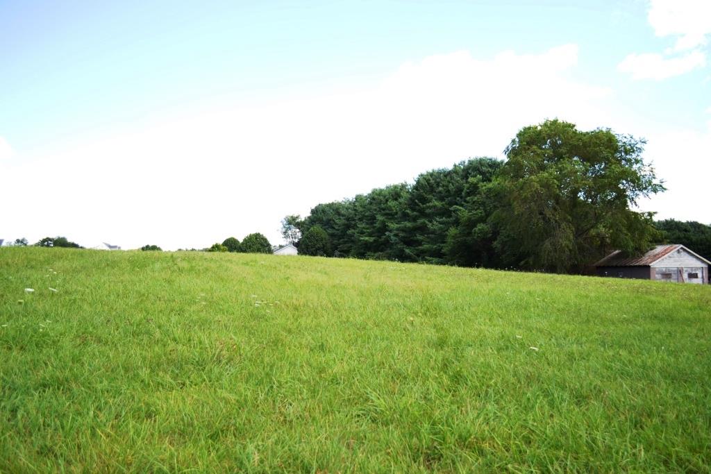 Lot 20 S Petunia Road Property Photo 1