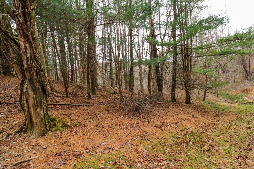 Lot 67 Southern View Trail Property Photo