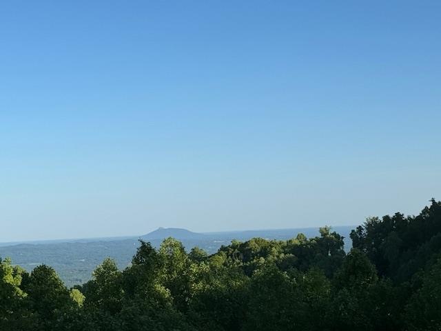 100 Cabin Ridge Trail Property Photo 1