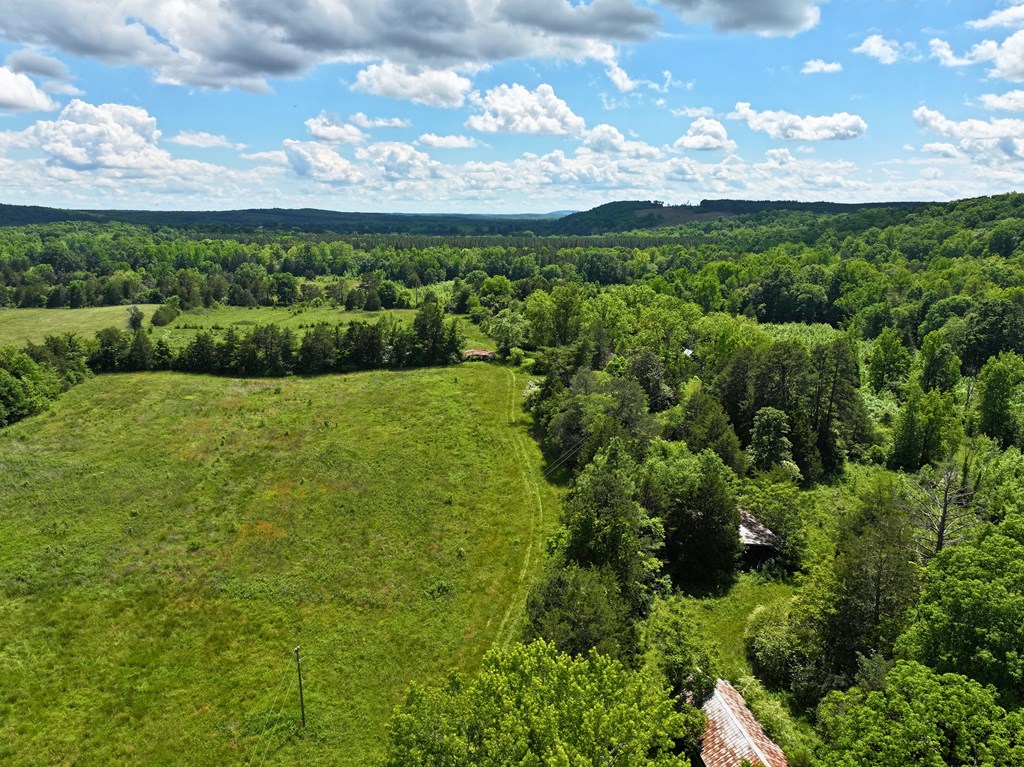1240 Moschler Drive Property Photo 4