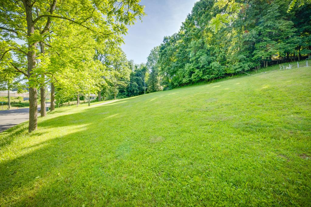 Tbd Wallace Pike Property Photo 1
