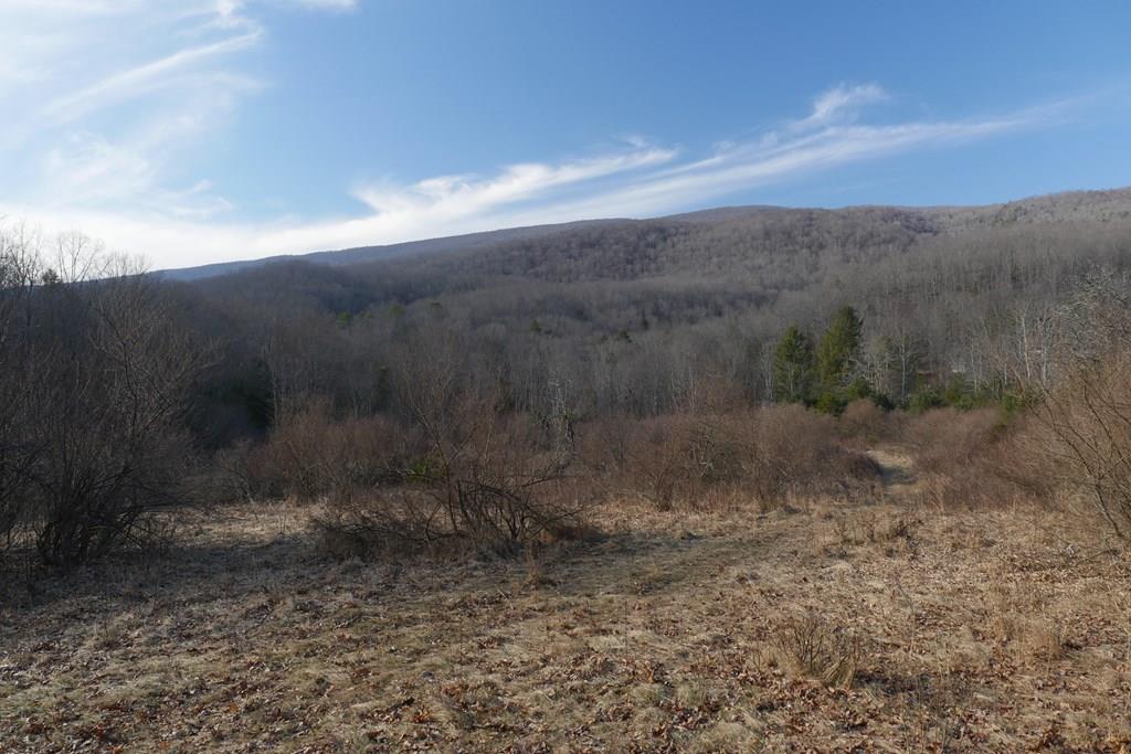 Tbd Poor Valley Road Property Photo 1