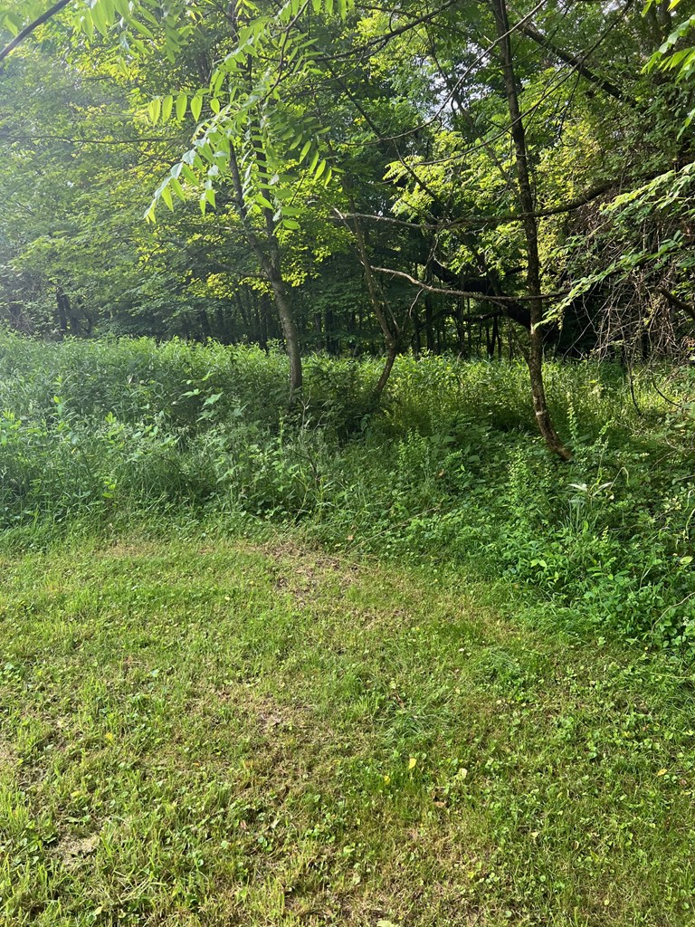 81 Timberline Drive Property Photo 5