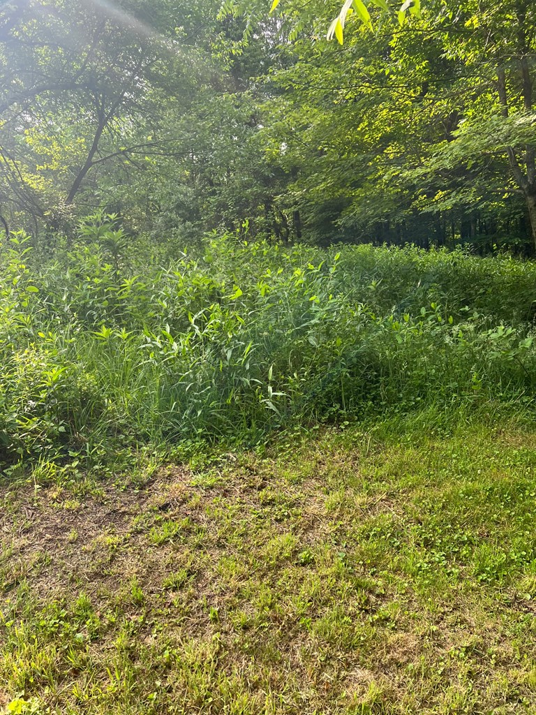 81 Timberline Drive Property Photo 7