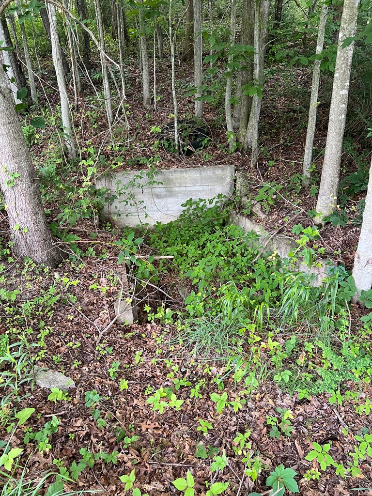 81 Timberline Drive Property Photo 15
