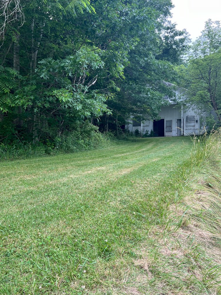 81 Timberline Drive Property Photo 16