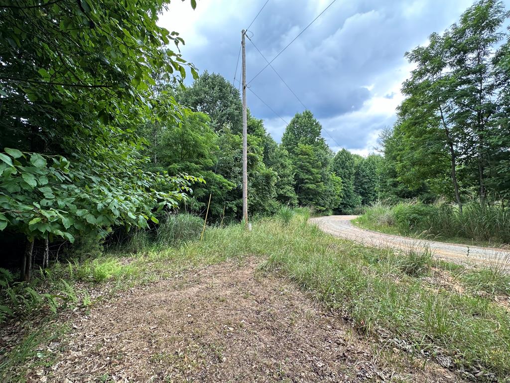 Tbd 0 Live Oak Ln Property Photo 1