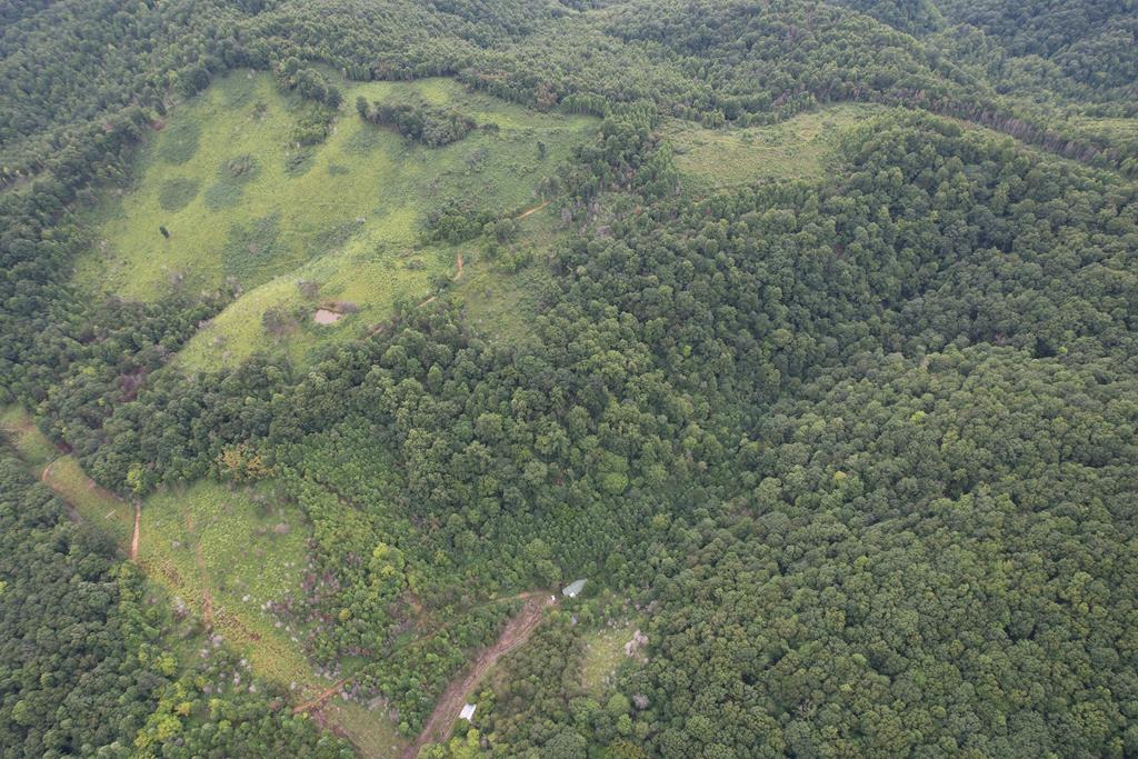 558 Glass Hollow Road Property Photo