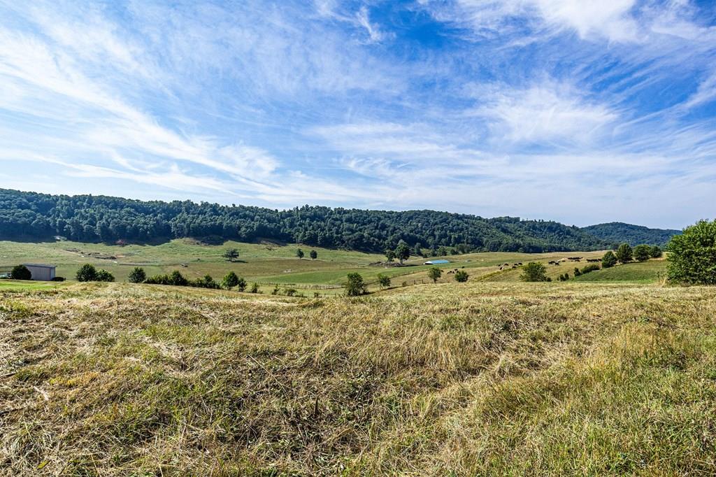Lot 4 Homestead Way Property Photo